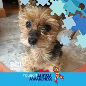 Meet your Posher, Jodi